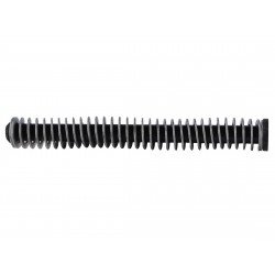 Glock 21 İcra Yayı